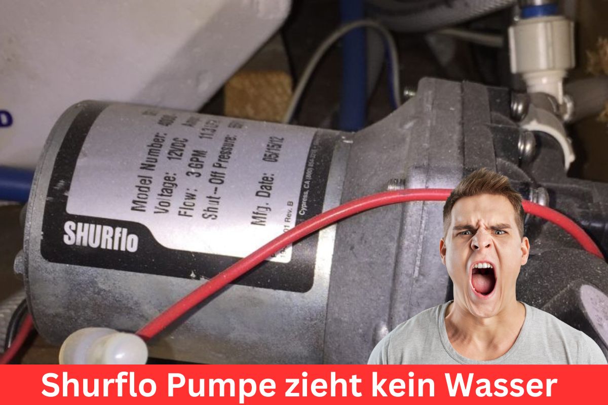 Shurflo Pumpe Zieht Kein Wasser (CAMPER mit Strohhalm) Camper Welten